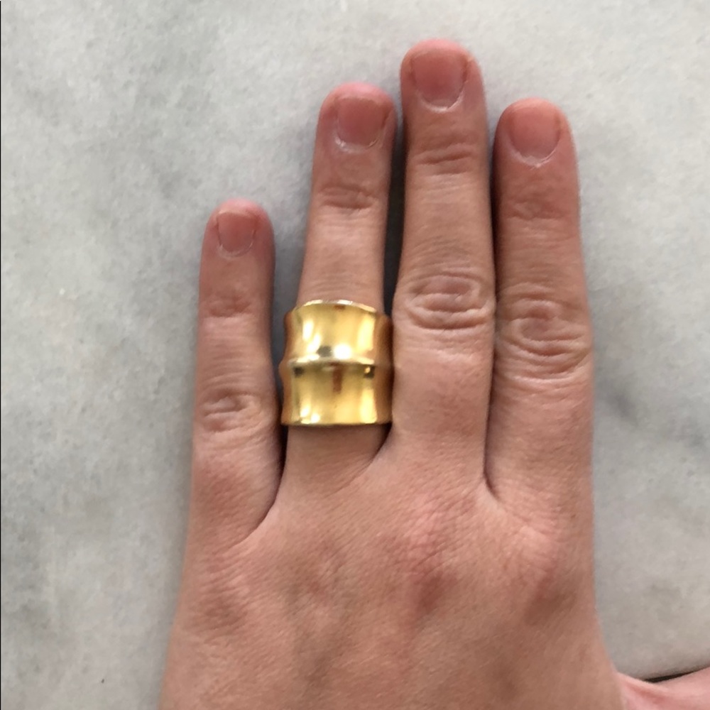 DANNIJO Gold Ring